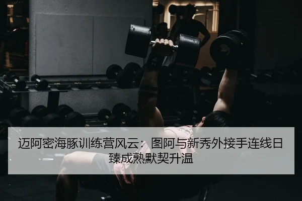 迈阿密海豚训练营风云：图阿与新秀外接手连线日臻成熟默契升温